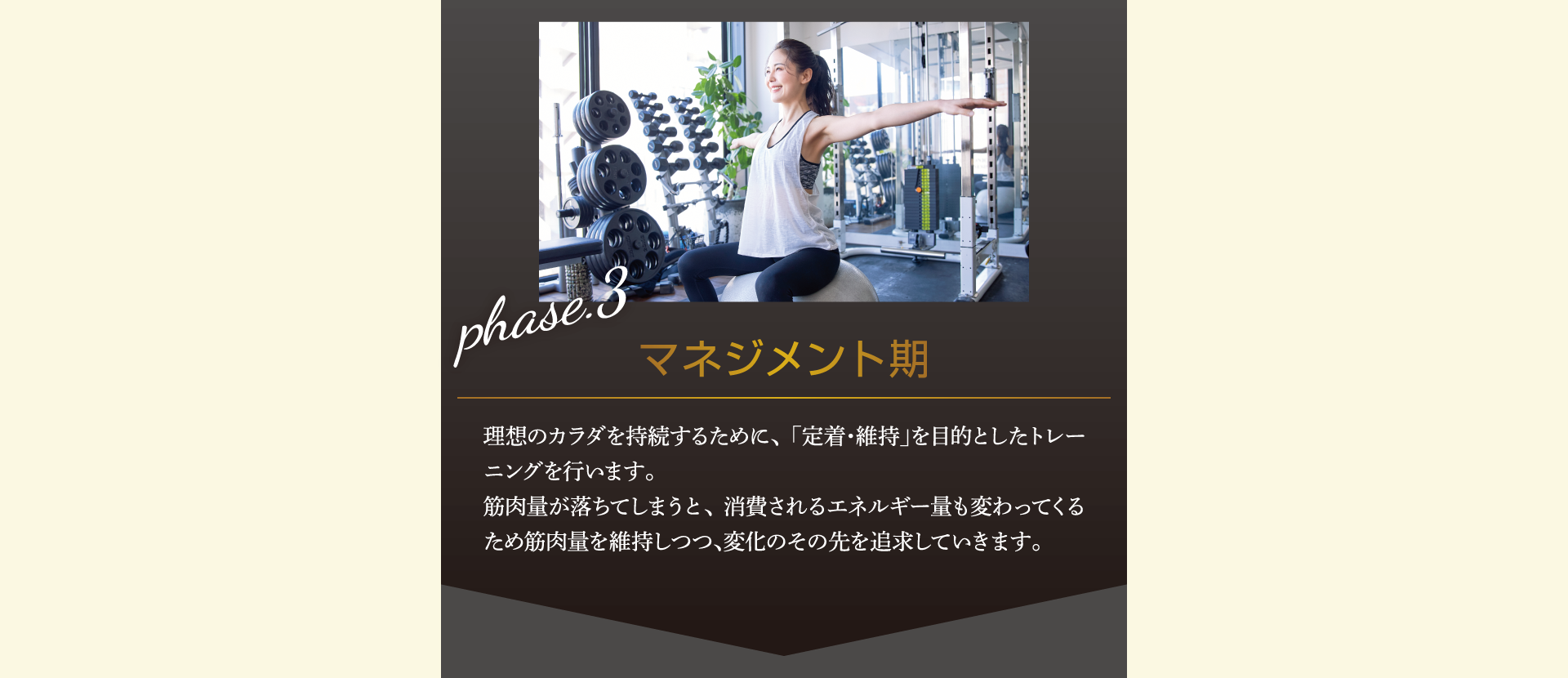 マネジメント期