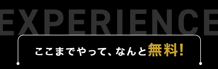 ここまでやって、なんと無料！