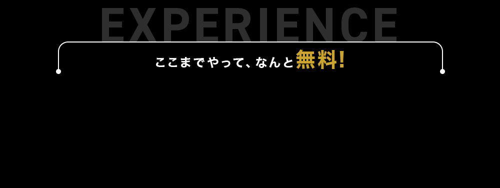 ここまでやって、なんと無料!