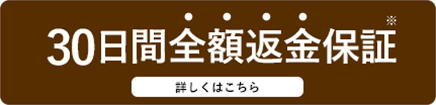 30日間全額返金保証 詳しくはこちら